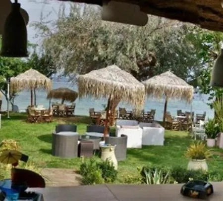 Tarsanas Studios